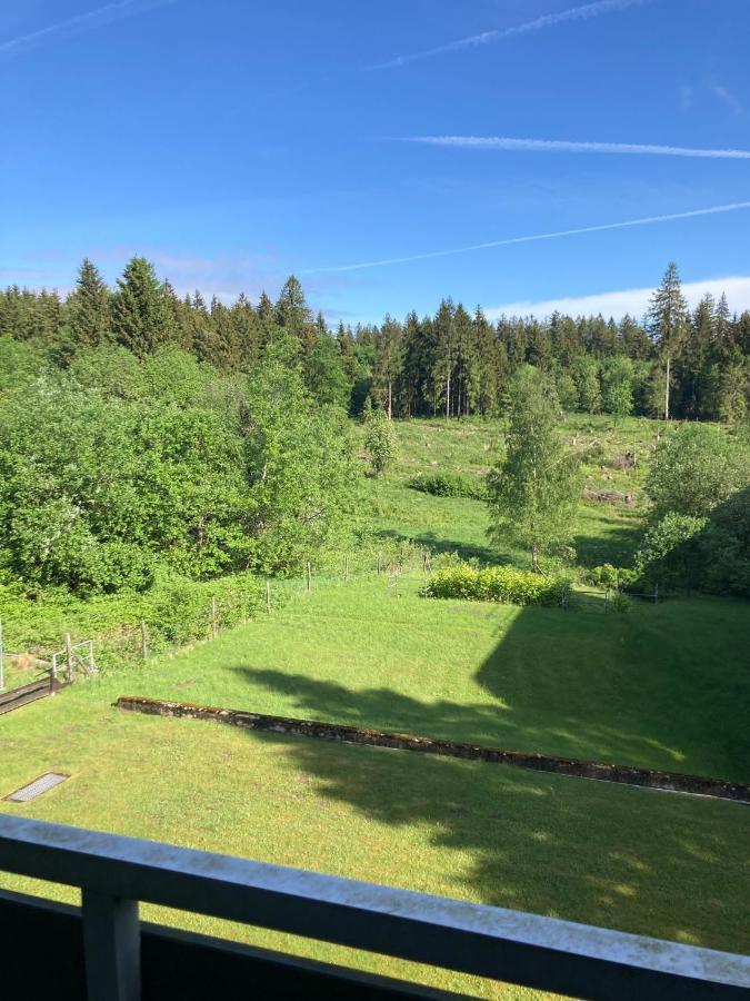 Hahnenklee Charme - Moderne Neue Ferienwohnung Mit 2 Balkons Goslar Eksteriør billede