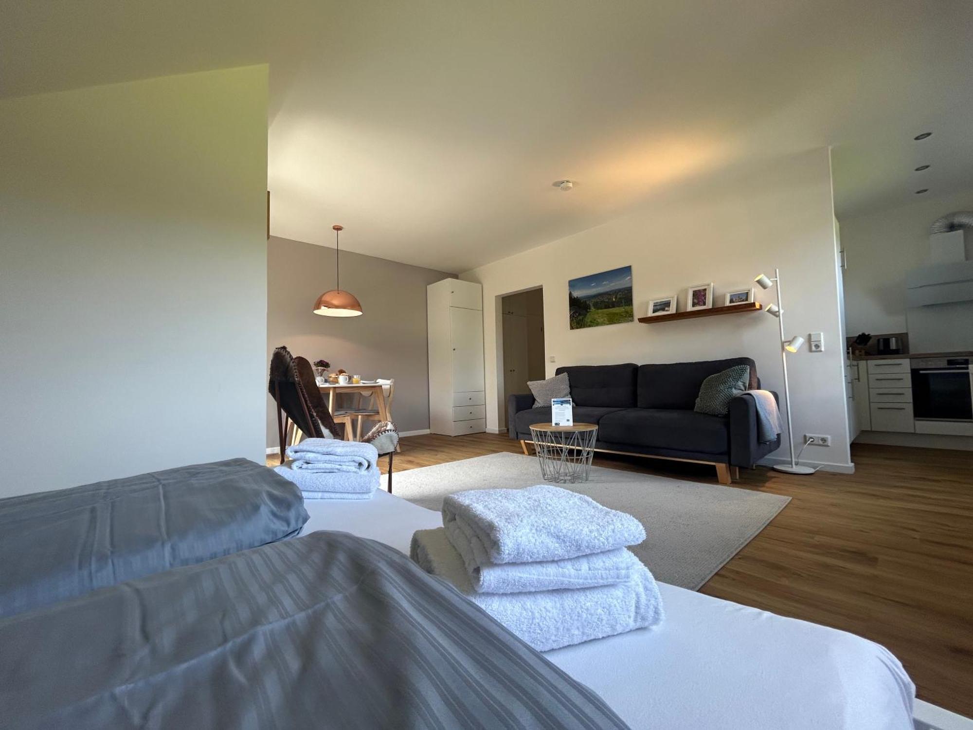 Hahnenklee Charme - Moderne Neue Ferienwohnung Mit 2 Balkons Goslar Eksteriør billede